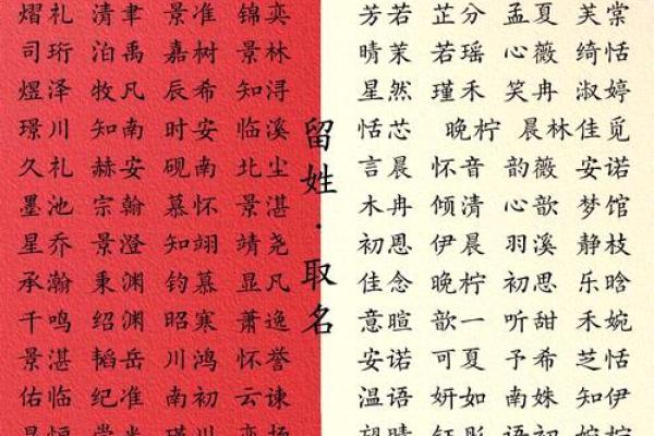 命硬宝宝命名指南：如何挑选最合适的名字，助力人生航程！