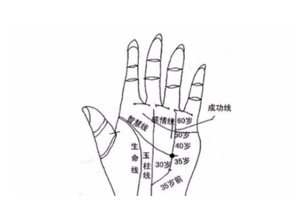 探索男女宫有纹路的男人：他们的命运与性格特征