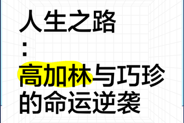 命里带八路：探索人生的多重选择与机会
