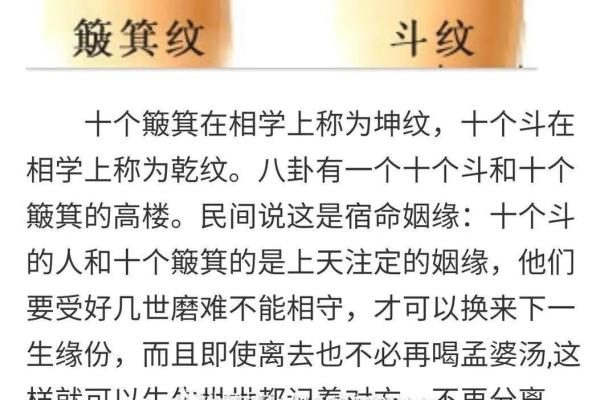 命理学中的凤命解析：追寻命运背后的美丽与智慧