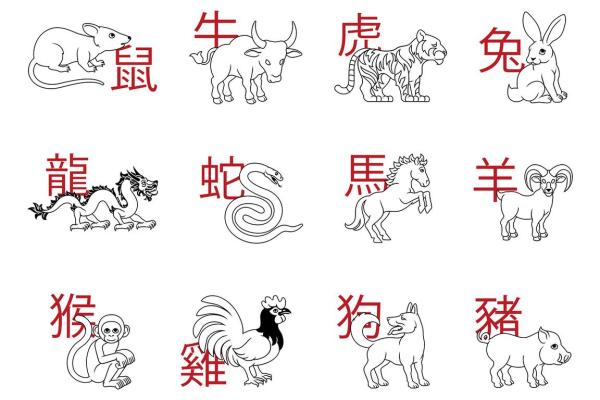 命理学解读：虎捉鼠的深层含义与启示