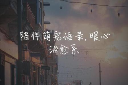 命里相伴的东西:如何找到陪伴一生的幸福源泉