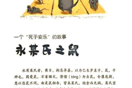 探索1996年出生的鼠年水命:命运与性格的奥秘