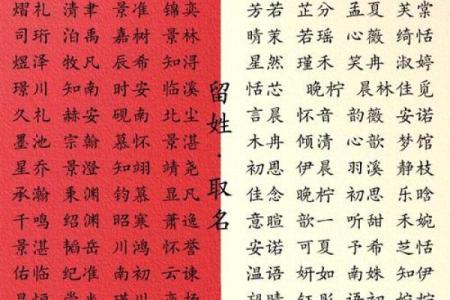 命硬宝宝命名指南：如何挑选最合适的名字，助力人生航程！