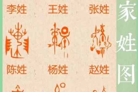 命理与姓氏之缘——探寻中华姓氏背后的秘密与启示