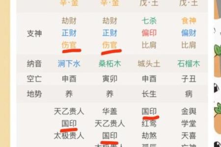 命理解析:命好在命理上意味着什么?探秘命运与生活的奥秘!