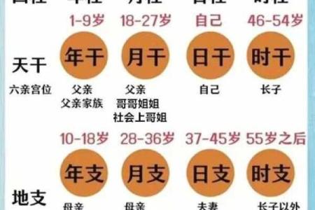 探秘命理四柱：了解生命中的天时、地利与人和