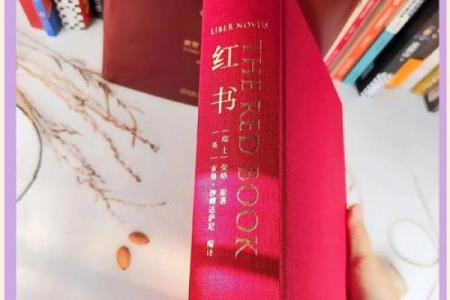 探寻“命”的奥秘:生命与命运的深刻共鸣