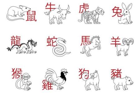 命理学解读:虎捉鼠的深层含义与启示