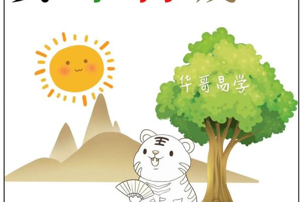 女命寅巳申亥：命理中的智慧与变化之道