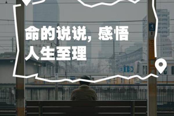 正官男命的补救之道：守护运势，追求人生巅峰