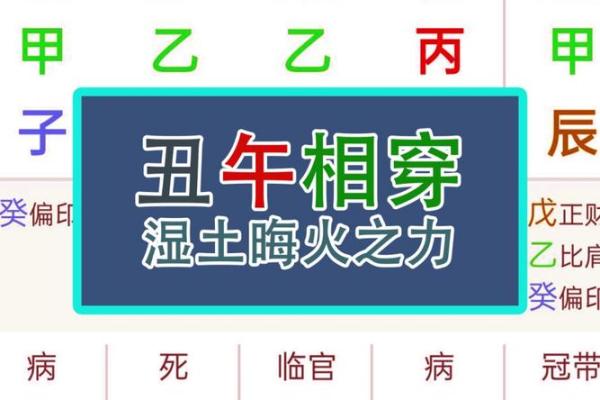 命理占三丑，揭开五行之谜与人生运势的秘密！