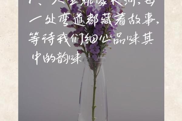 命里有水滴：探讨生命中的隐喻与启示