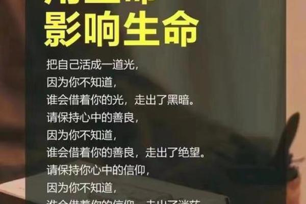 探寻人生的终点：命终自然背后的哲理与智慧