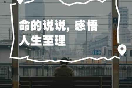 正官男命的补救之道：守护运势，追求人生巅峰
