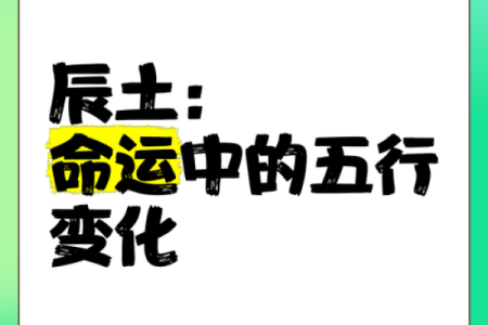 命里有很多土，象征着稳重与基础之力的深刻解析