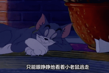 探寻老鼠的命运：小生命的坚韧与智慧