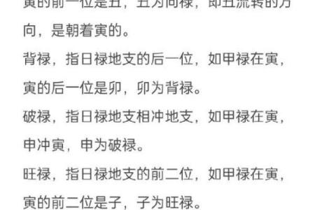 探索命理:老年禄对人生的深远影响与意义