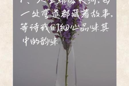 命里有水滴:探讨生命中的隐喻与启示