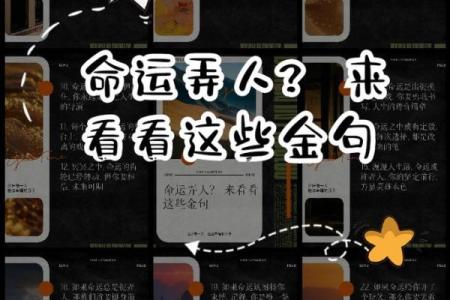 命好的女人,命名秘笈:她们的命运与名字的关系探讨