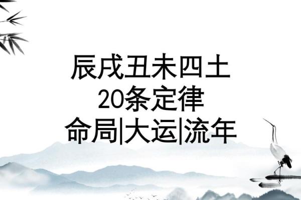 探寻命理奥秘：流年与命局的深度解析