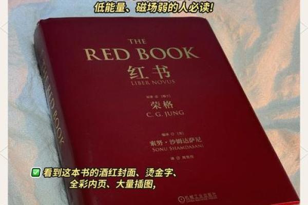 女命乖舛：掌握命运的奥秘与人生智慧