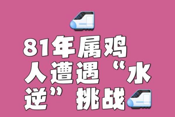 命理中的金鸡关：破解命运的神秘之钥与人生启示