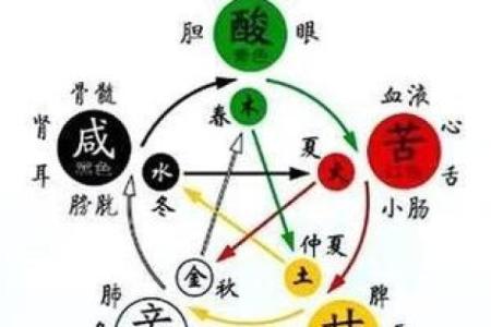 命里缺木,五行之中寻生活平衡的奥秘与智慧
