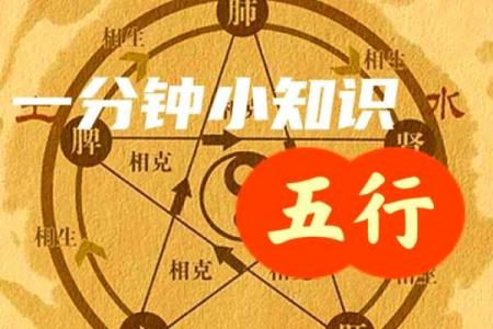 命理是金的人,哪些元素能帮助他们弥补不足?