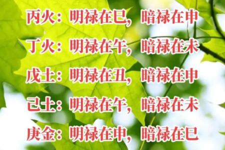 命理解析:福禄少的深层含义与人生启示