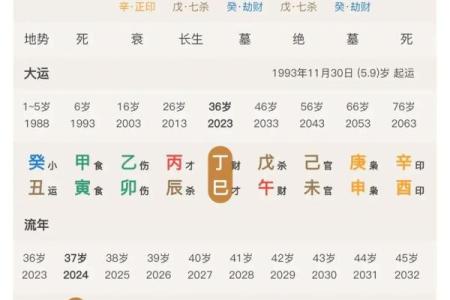 正官星在女性命理中的深层寓意与影响解析