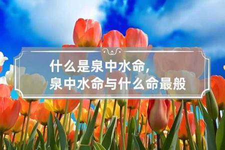 命理揭秘:清秀命的内涵与影响力探讨