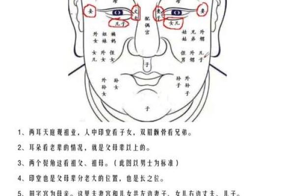 探索女命中的伤官杀食：命理中的深层解读与影响