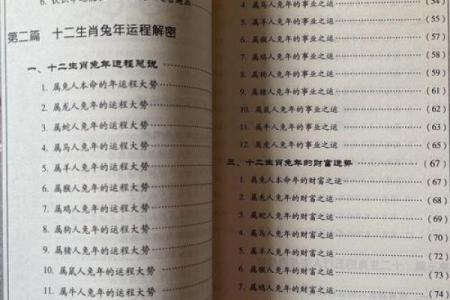 探索农历1995年属相:兔年命运和性格解析