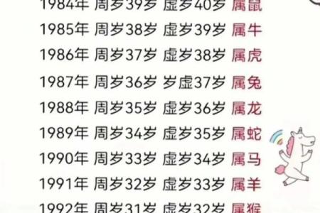 九月出生的属牛人：命运解析与人生指南