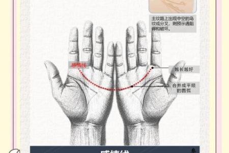 探寻命运的奥秘:为何命运掌握在自己手中?