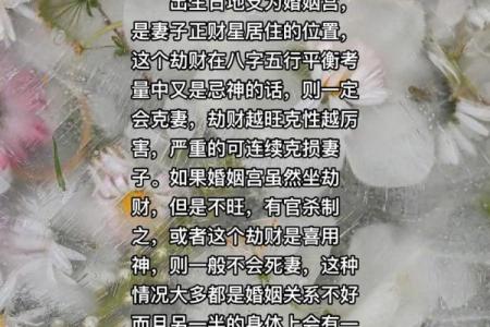 命里克妻独子：揭开命理与家庭的秘密