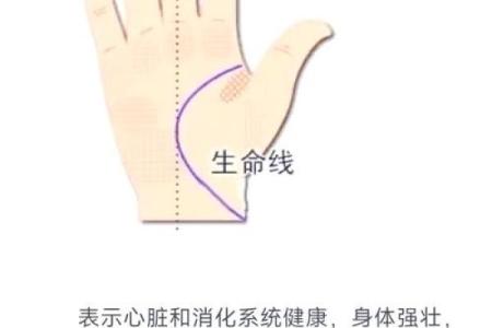 命是什么?探寻人生的意义与运势的奥秘