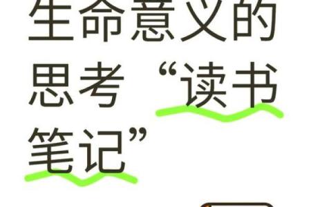探索丙申命格:中等命的独特人生旅程与智慧