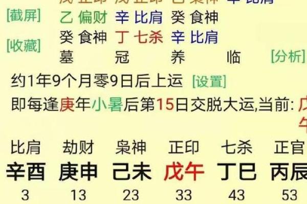 女命八字解析：走官运与人生方向的深度解读