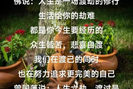 命里注定的渡劫之旅:从诗句中寻找人生智慧