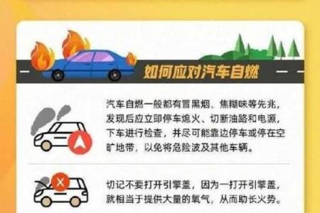 选择适合炉中火命的汽车方向,助你开启精彩人生之旅!