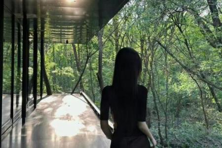 探寻男命为何难获爱:她们心中那个无法撼动的标准