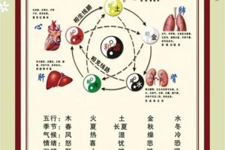 命里缺金火多,解析五行实相与人生启示