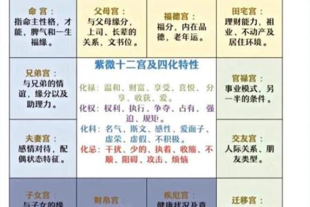 探寻命理奥秘:紫薇星命解析与人生启示