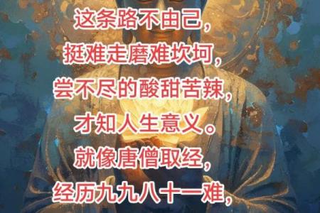 命蹇不吾由：解读人生中的无奈与自省