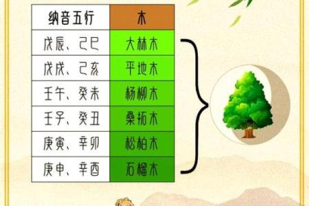 探寻纳音为木命的奥秘与魅力:生命中的气韵与自然之道