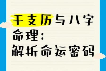 命弱与命硬:揭示你的命运密码与生活选择