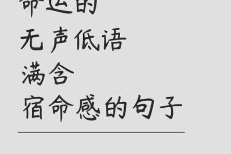 命命鸟:在生命的岔路口,寻找自我的希望与勇气