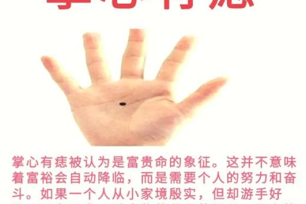 探讨女命之财官印：为何旺夫及其背后的智慧